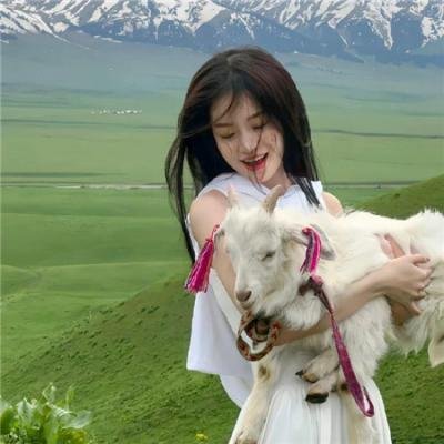 四光猪现蠢记